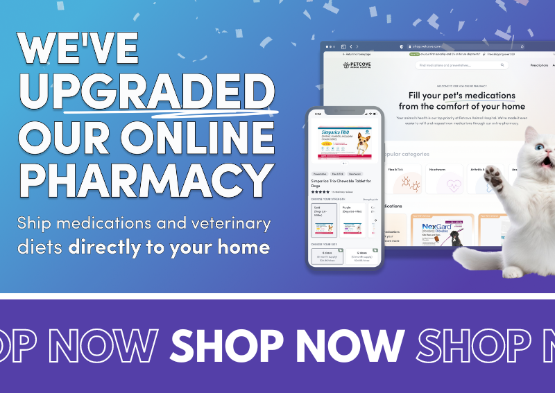 Carousel Slide 2: veterinary online pharmacy
